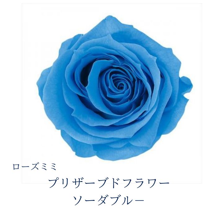 プリザーブドフラワーヘッドローズみ...