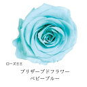 プリザーブドフラワー 一輪 ヘッド ローズミミ ベビーブルー 花材 【一輪買い】