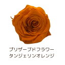 プリザーブドフラワー 一輪 ヘッド ローズいずみ オレンジ タンジェリンオレンジ 花材