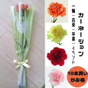 夏 プレゼント ギフト 一輪花 卒業 花束 カーネーション 1本花 卒園 先生 謝恩会 生花 発表会 卒団 卒部 10本おまとめ買い お母さんへ 妻へ ママへ ...