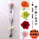 夏 プレゼント ギフト 一輪花 卒業 花束 生花 カーネーション 1本 卒業 卒園 先生 謝恩会 発表会 父の日 カーネーション 50本おまとめ買い イベント ...