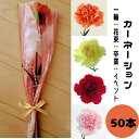 夏 一輪花【生花】生花 母の日 卒業 1本 卒園 花束 プレゼント ギフト 謝恩会 一輪 カーネーション 敬老の日 50本 退職祝い フラワーアレンジメント 母...
