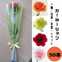 夏 プレゼント ギフト 一輪花 卒業 花束 カーネーション 1本花 卒園 先生 謝恩会 生花 発表会 卒団 卒部 50本おまとめ買い フラワーアレンジメント