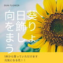 夏の花 ヒマワリ 一輪 一本 花束 プレゼント 送別 ギフト 生ける 夏の花ギフト 一本花 一輪花 イベント ノベルティ ピアノの発表会 送別