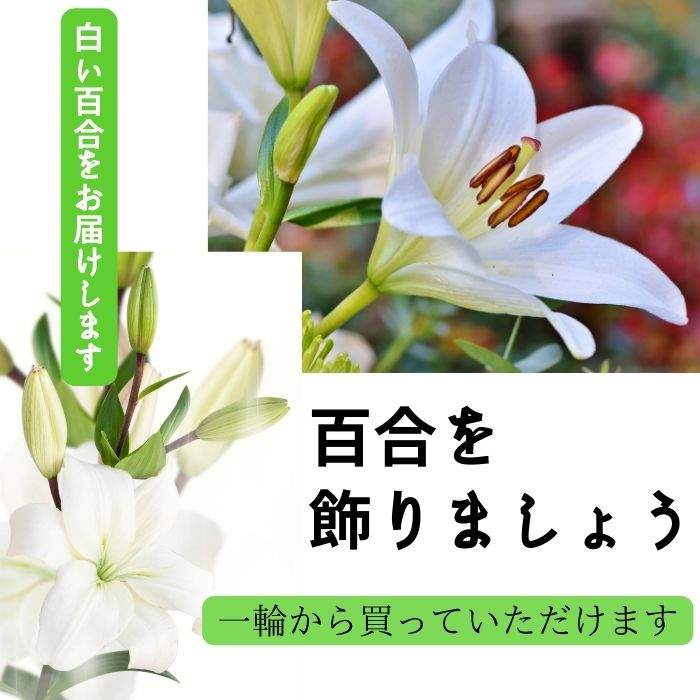 楽天市場】切り花 1 本 から(種類(植物)ユリ)の通販 楽天市場】切り花 1 本 から(種類(植物)ユリ)の通販