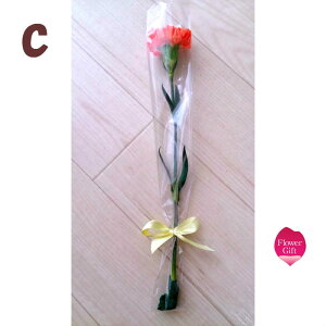 一輪花 花束贈呈 学校行事 送別 先生 卒業 謝恩会 プレゼント ギフト 卒園 卒部 卒団 生花 一輪 友達 子供 渡す ピアノ 発表会 音楽 先生へ 恩師へ 女性 男性 教師 退職 スケートリンク 投げる フラワー お任せ 卒業 先生 プレゼント規格外商品はネットでお取り寄せできます