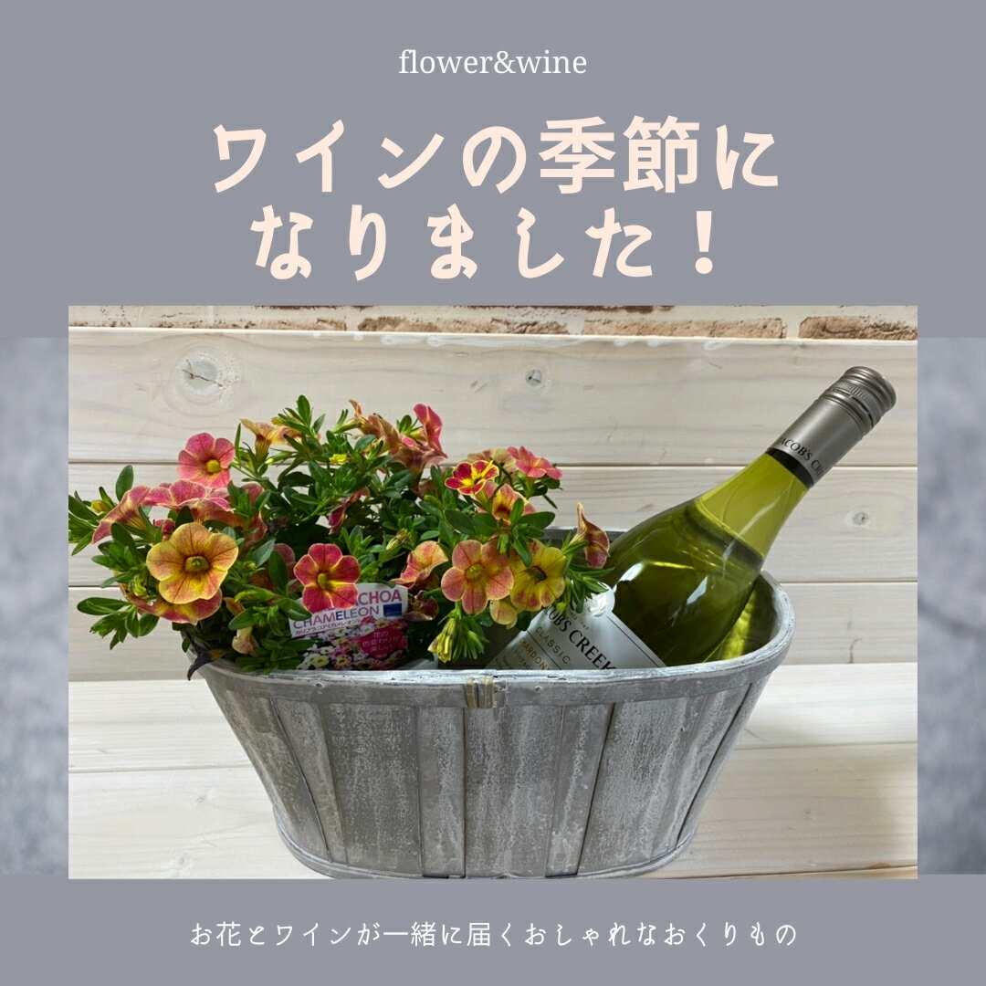 楽天ROSETTA花とワイン ギフト プレゼント 卒業 誕生日 退職 プレゼント【ワイン】 鉢植え 【本州送料無料】 白ボトル メッセージ