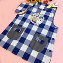 キッズ用 S/サイズ ドナルドダック チェック柄 キャラクターエプロン三角巾付き セット(3)