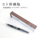 【送料無料】 アイブローペンシル シェルマ SC アイブロー (ナチュラルブラウン) 眉毛 まゆ毛 保湿 しっとり 描きやすい アイブロウ ペンシル 鉛筆 眉墨 ヒト脂肪細胞順化培養エキス ヒトカン細胞 コスメ 化粧品 《 エンチーム 正規販売店 》 日本製