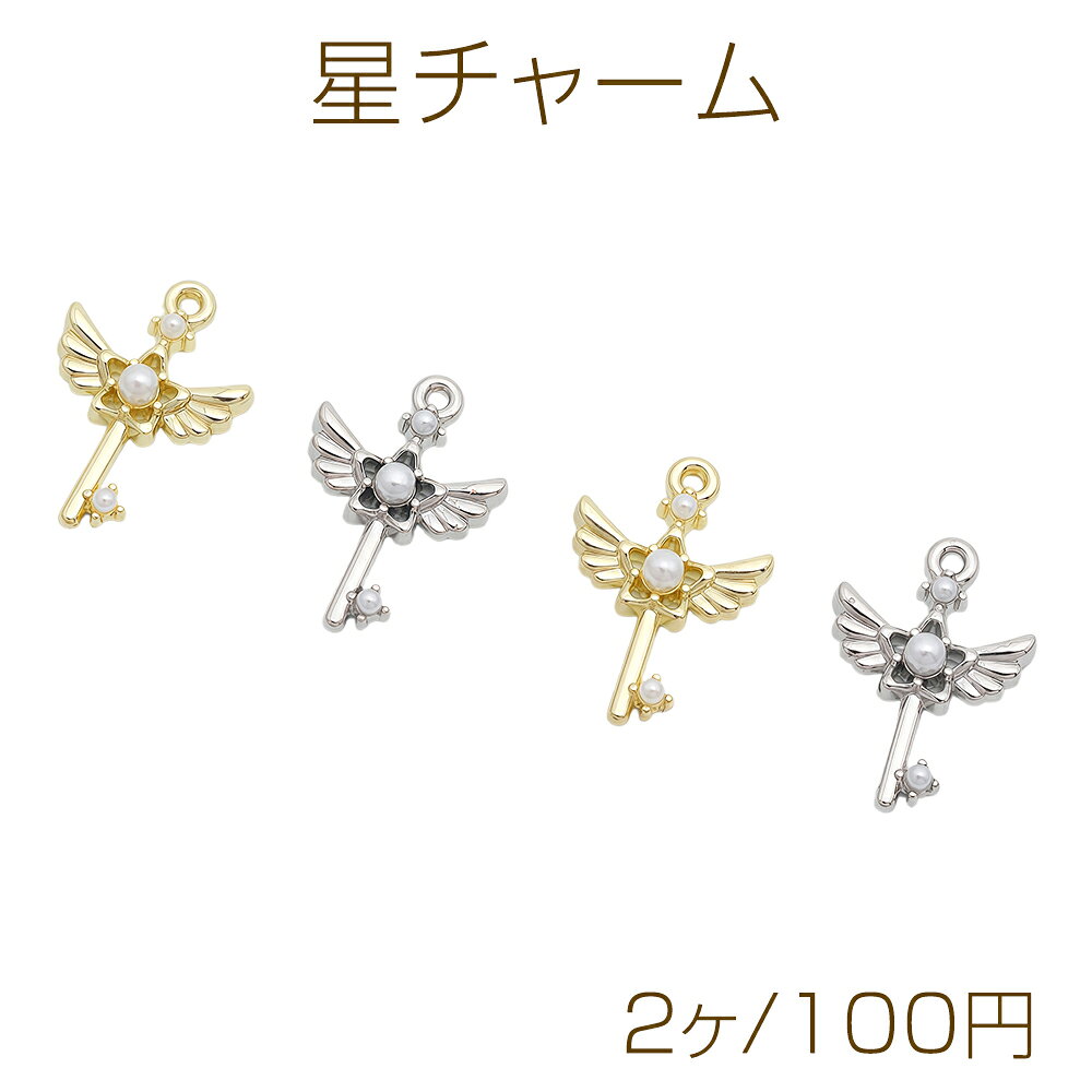 仕 様 サイズ約13×18mm材 質合金製重さ約1.5g/パック 入 数 2ヶ 注意事項 ●海外生産のため、輸入・生産時期に擦り傷・バリ・歪み・メッキムラなどある場合がございます。 ●生産メーカーの都合により、再入荷時にサイズや色味、デザインが変更となる場合がございます。 ●商品の色はブラウザや、PCモニターの環境・設定などにより実際と異なる場合がございます。 ●当店取り扱い商品は手芸パーツです。 ●用途外のご使用はおやめください。 卸売価格のため、バリや欠け、割れ、ヒビ、色ムラ、サビなどがある状態の商品が含まれる場合がございます。 返品交換は出来かねますので、ご理解・ご協力をお願い申し上げます。 ※入荷時（パッキング済み）の商品をそのまま発送いたします。注意事項をご理解・ご了承いただいた上でご注文ください。 ◆商品詰め工程において、埃や小さなごみが混じることがございます。 ◆手作り、海外生産の為、柄ずれ、キズ、汚れ、色ムラ等ある場合がございます。 ◆欠けたものや変形したものが混じっている場合がございます。