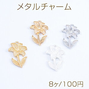 �᥿����㡼�� �ե� ��� 15��25mm��8����