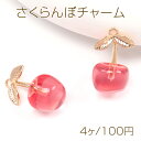さくらんぼチャーム 樹脂さくらんぼチャーム チェリーチャーム 約13×24mm(2ヶ)