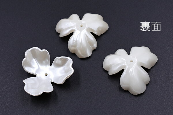 �������ѡ��� 3�۲� 35mm �ۥ磻�ȡ�20����