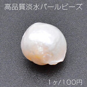 ���i���W���p�[���r�[�Y No.5 �s�K���ی^ �V�R�f�� 1�� 