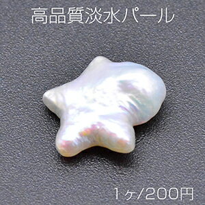 仕　様 サイズ写真参考材　質天然素材重さ約0.9g/パック 入　数 1ヶ 注意事項 ●海外生産のため、輸入、生産時期に、擦り傷・バリ・歪み・メッキムラなどある場合がありますが。 ●生産メーカーの都合により、再入荷時にサイズや色味、裏側などメインではない箇所のデザインが多少変更となる場合がございます。 ●商品の色はブラウザや、PCモニターの環境・設定などにより実際と若干異なる場合がございます。 ●当店取り扱い商品は手芸パーツです。 ●用途外のご使用はおやめください。 卸売価格のため、バリや欠け、色ムラ、サビなどがある状態の商品が含まれる場合がございます。 返品交換は出来かねますので、ご理解・ご協力をお願い申し上げます。 ※入荷時（パッキング済み）の商品をそのまま発送いたします。下記内容をご理解・ご了承いただいた上でご注文ください。 　◆商品詰め工程において埃や小さなごみが混じることがございます。 　◆手作り、海外生産の為、多少の柄ずれ、キズ、汚れがある場合がございます。 　◆欠けたものや変形したものが混じっている場合がございます。