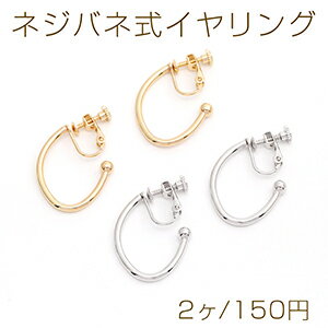Cubic Zirconia - ネジバネ式イヤリング フープ 22×28mm（2ヶ）
