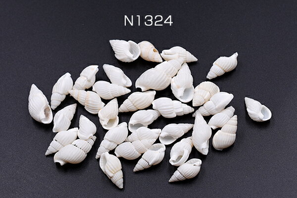 天然素材 巻貝の貝殻 ハンドメイド用【約50g（約100ヶ）】