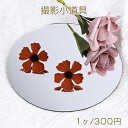 撮影用プレート アクセサリー撮影小道具 アクセサリー背景 ミラー鏡撮影プレート 丸型 14cm(1ヶ)
