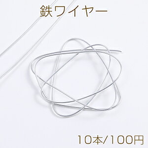 鉄ワイヤー 太さ約1.5mm×長約85cm（10本）