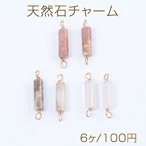 ŷХ㡼 ŷХͥ㡼 췿 2դ 423mm ɡ6