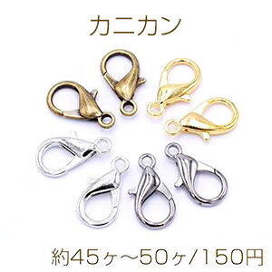 �ǰ���ĩ���桪���˥��� 11��21mm����45����50����