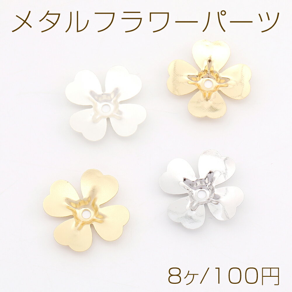 ᥿եѡ ӡåץѡ ᥿ֺ¥ѡ ¶ ե㡼ѡ 17.519mm8