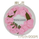 押し花 アジサイ 天然素材 (1パック)
