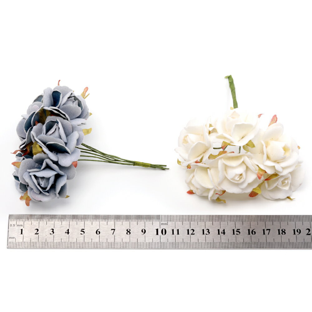 �ɥ饤�ե� ������ ��« ¤�� ���� �����1«6�ġ�