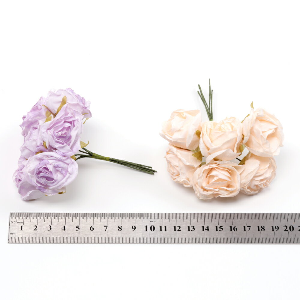 �ɥ饤�ե� ������ ��« ¤�� ���� �����1«6�ġ�