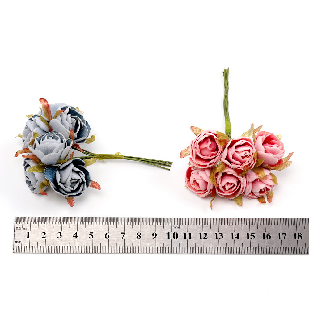 �ɥ饤�ե� ������ ��« ¤�� ���� �����1«6�ġ�