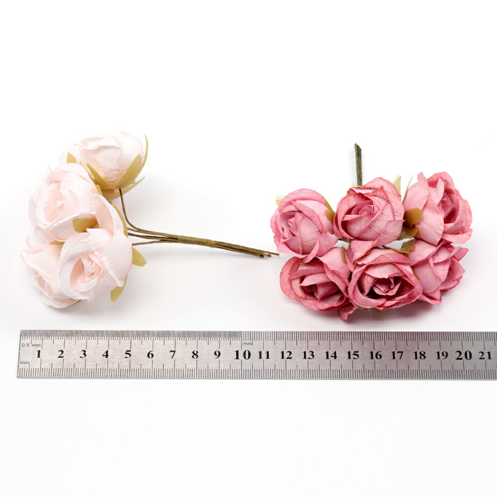 �ɥ饤�ե� ������ ��« ¤�� ���� �����1«6�ġ�