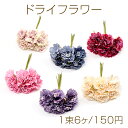 ドライフラワー サザンカ 花束 造花 飾り 手作り(1束6個)