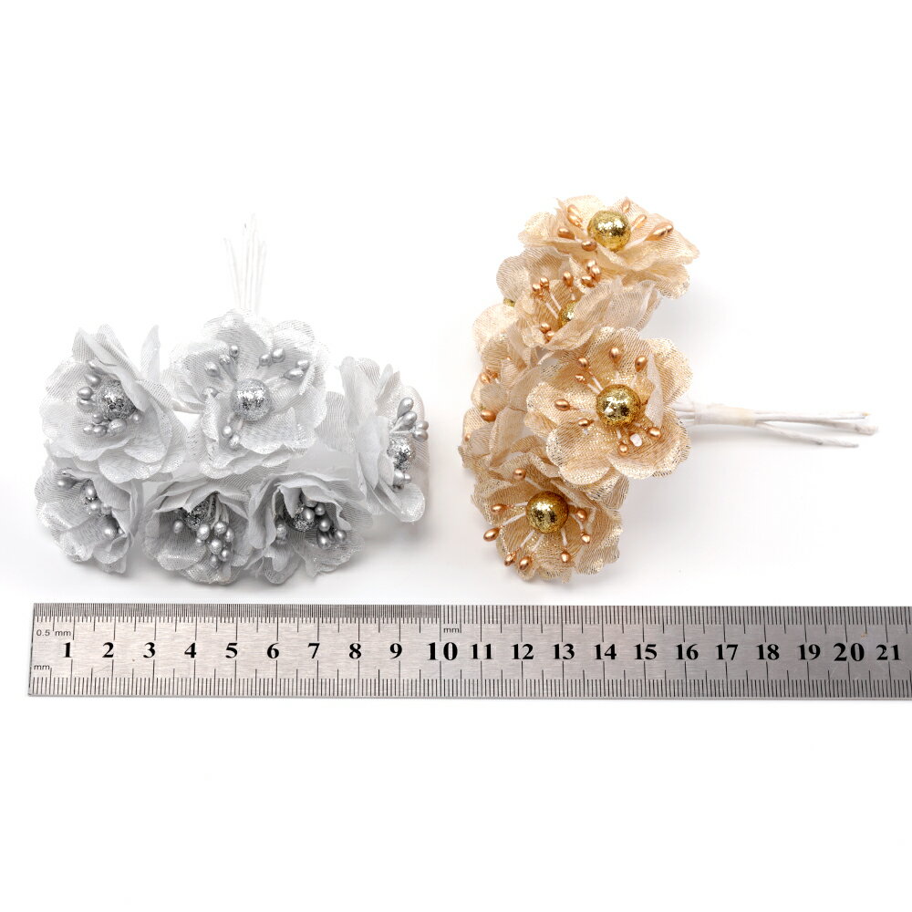 �ɥ饤�ե� ������ ��« ¤�� ���� �����1«6�ġ�