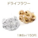 ドライフラワー サザンカ 花束 造花 飾り 手作り(1束6個)
