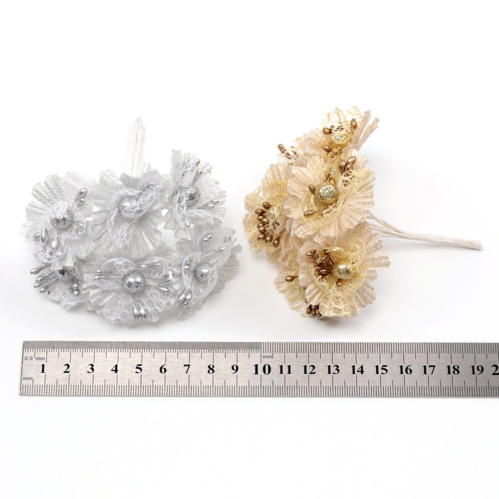 �ɥ饤�ե� ������ ��« ¤�� ���� �����1«6�ġ�