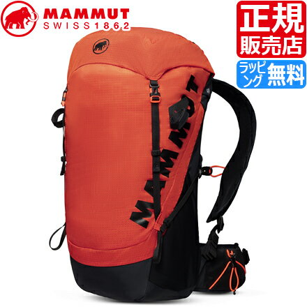 楽天RosyCatsマムート リュック 正規販売店 MAMMUT Ducan 24L アウトドア ザック 登山 クライミング 登山用リュック 山用品 登山用品 本格 本格的 メンズ レディース 彼氏 シンプル かっこいい おしゃれ 誕生日プレゼント プレゼント ブランド ギフト 人気 贈り物 お祝い