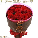 バラの花束 11本・12本 【ミニブーケ】 赤バラ 花束 誕生日 プレゼント 結婚 記念日 プロポーズ 贈り物 高級 薔薇 花束 卒業 退職 結婚式 お祝い バ...