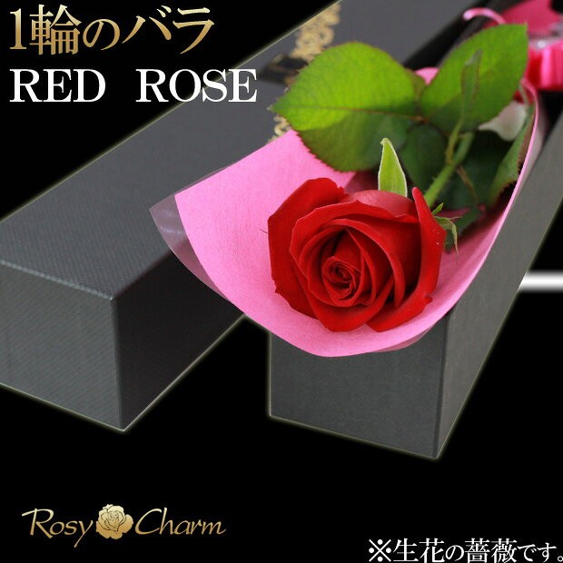 【生花】 赤いバラ 1本 花束 箱入り 薔薇 誕生日 プレゼント 結婚 記念日 プロポーズ 贈り物 卒業 退職 お祝い バラ 1輪 生花 おしゃれ 一輪 花 ボックス入り 高品質 赤 バラ 一本 母の日 フラワーギフト 赤バラ 【赤いバラ】 rosycharm-10000068 ロージーチャーム 楽天市場店 サンプル画像3
