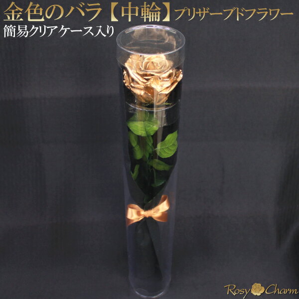 金色の薔薇 【中輪】 1本 プリザーブドフラワー クリアケース入り ゴールド ローズ 誕生日 プレゼント 結婚 記念日 プロポーズ 卒業 退職 お祝い 贈り物 1輪 枯れない バラ 花束 薔薇 高級 金色 珍しい 花 一本 おしゃれ 一輪 枯れない フラワー ギフト 【金色のバラ】