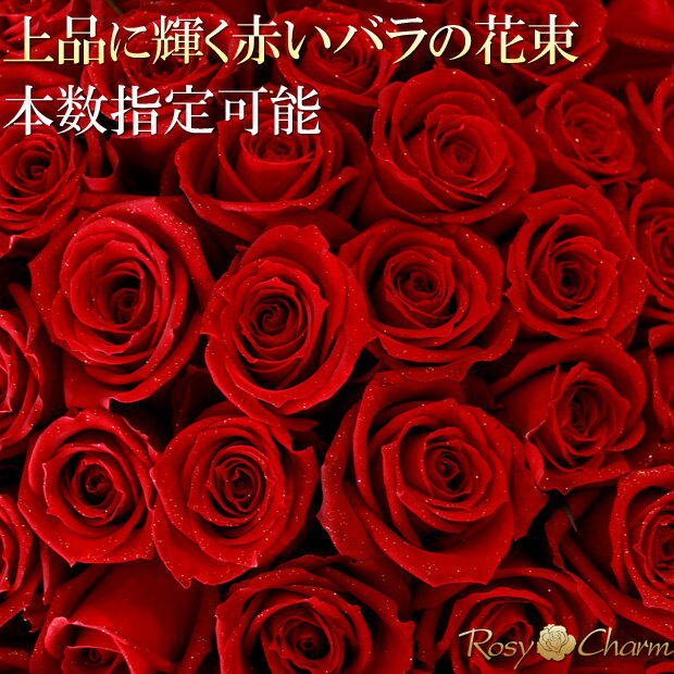 ラメ付き バラの花束 プロポーズ 誕生日 プレゼント 結婚 記念日 バラ 12本から108本 本数指定 贈り物 高品質 赤 薔薇 花束 還暦 卒業 退職 お祝い フラワーギフト おしゃれ ラッピング 選択可能 人気 花 ギフト 薔薇ギフト 【生花】 キラキラ 煌めく 【赤いバラ花束】