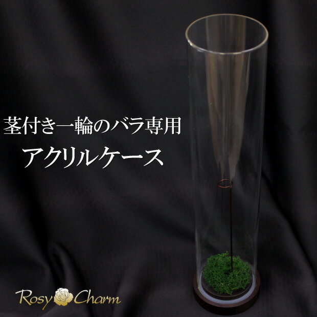 Rakuten - バラ 1本 プリザーブドフラワー ディスプレイ用 アクリルシリンダー 木製台座付き【ロングver.】 枯れない茎付きのバラ一輪を飾るアクリル製ケース インテリアフラワー プロポーズ 結婚記念日 誕生日プレゼント 保存加工したバラを飾れる 円筒アクリルケース
