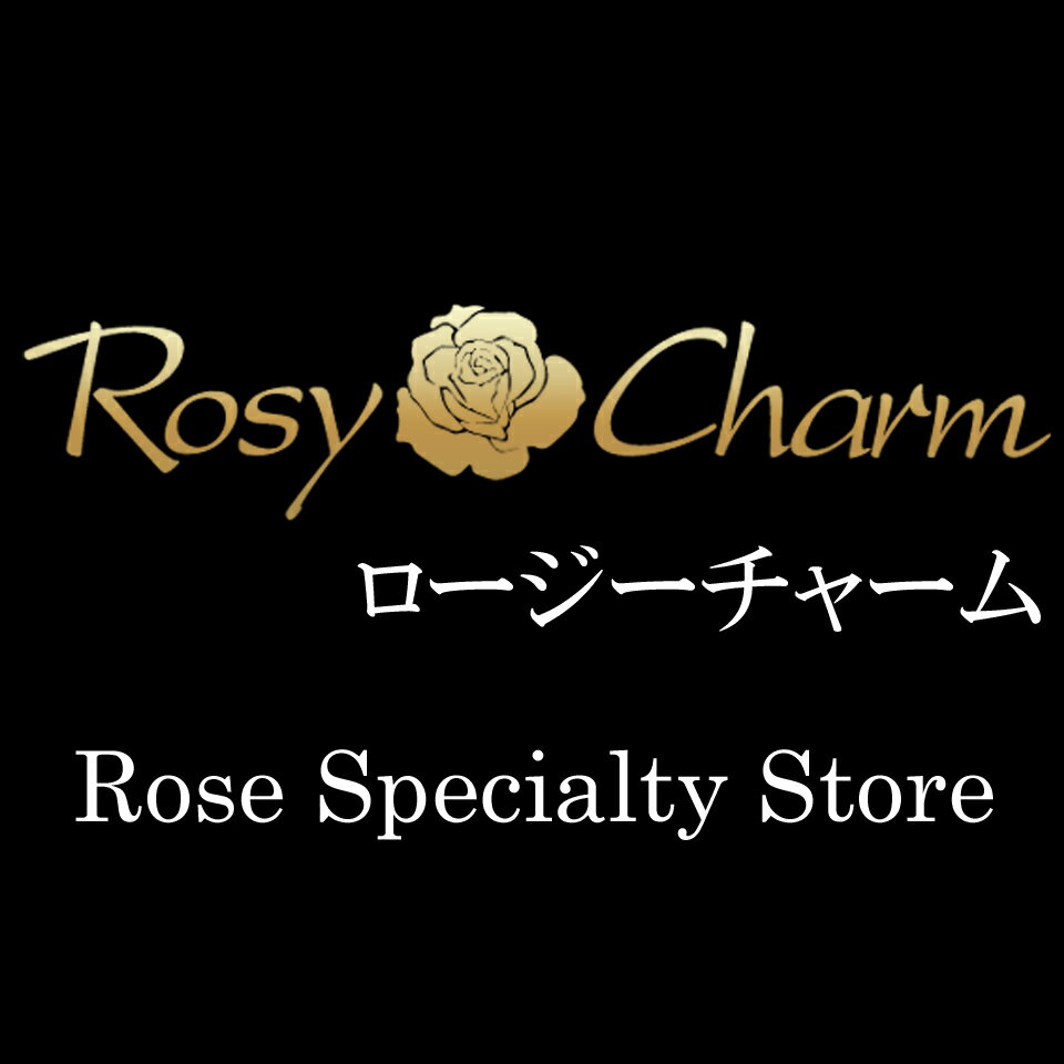 チランジア パチャラロージーチャーム チランジア パチャラロージーチャーム