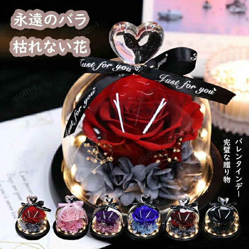 �ϡ��ȤΥ��饹���С� �ץꥶ���֥ɥե� LED�饤���դ� ���٤�6�� �ѥ�å� �Х� ������ �ץ쥼��� �Х�󥿥��� ���� �� ���� ��ͧã ������� ��...