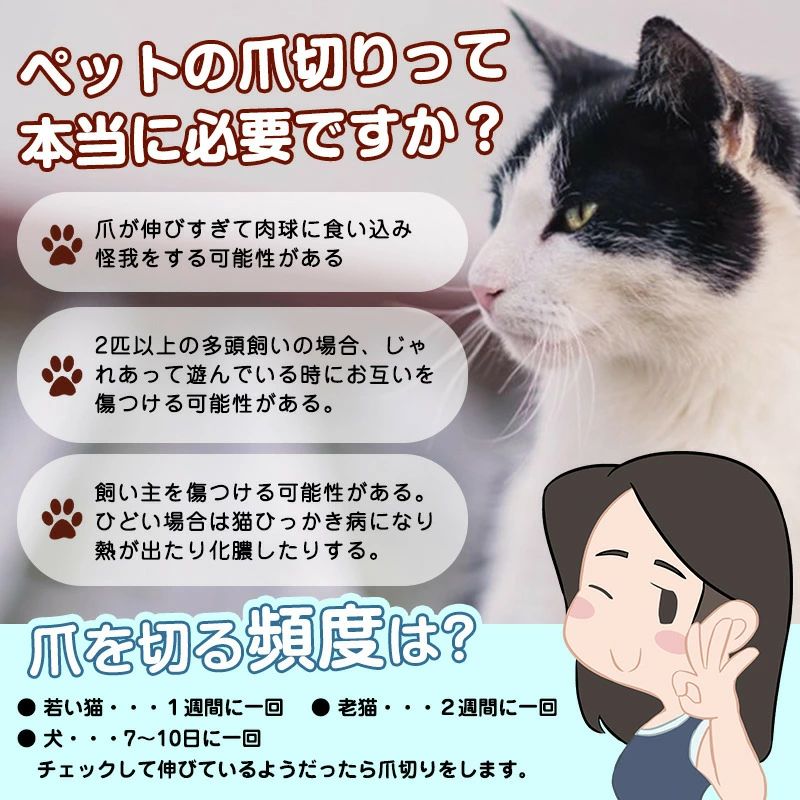 �ڥå� �� ǭ ���ڤ� LED�饤�� �� ���� �� �������� �İ��� �ͥ� ���� ���ӻ��ꥬ���� �����դ� �ͥ���å����å��� �����ɻ� ���襤�� �����ɻ�