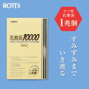 【SALE20%OFF】【2個セット】乳酸菌10000 / ROTTS-1 (2g×30包×2個) ナノ型乳酸菌 微粒子乳酸菌 ミルクオリゴ糖 ラクチュロース 乳酸菌生産物質 シトルリン イヌリン 配合 サプリメント 顆粒 粉 善玉菌 【ROTTS/ロッツ公式】