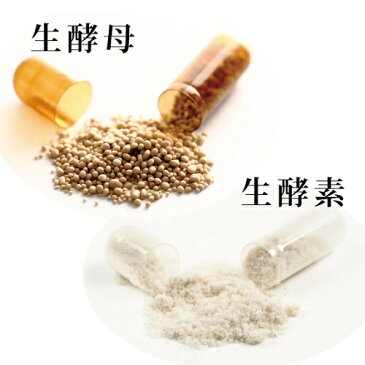【30個セット】メタバイオ Metabio (30包入)/生酵母・生酵素・生麹サプリでダイエット! 酵母 酵素 麹 ダイエット サプリ 糖質 生きてる酵母 糖質制限 低糖質 生きたまま腸に届く 送料無料 ROTTS ロッツ