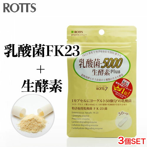 楽天おなかカンパニーROTTS【SALE20％OFF】【3個セット】乳酸菌5000 生酵素Plus （30カプセル入×3個）あなたの善玉菌を増やす 乳酸菌&生酵素サプリ スッキリ ダイエット 1袋に15兆個の乳酸菌（FK-23 FK23） 消化酵素 腸活 免疫力アップ 腸内フローラ 菌活 送料無料 ROTTS ロッツ