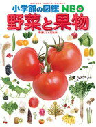 小学館の図鑑NEO 15 野菜と果物