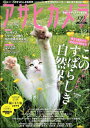 アサヒカメラ 2018年12月号