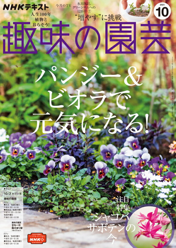 きれいなカラダになるピラティス・エクササイズDVD+BOOK